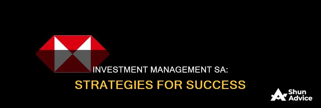 am investment management sa