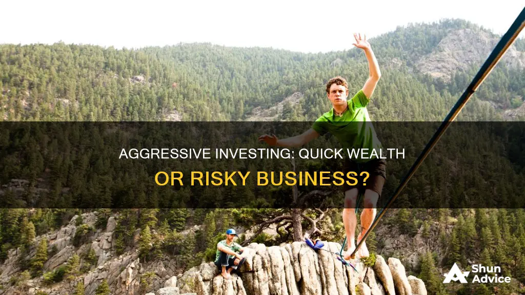 are aggressive investment portfolios able to make wealth quickly