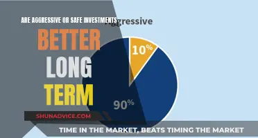 Long-Term Investment Strategy: Aggressive or Safe?