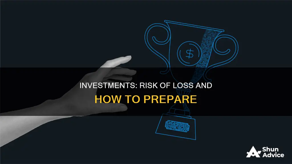 are all investments at risk of loss