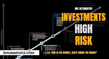 Alternative Investments: High Risk or Worthwhile?