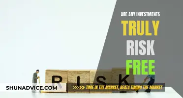 Risk-Free Investments: Myth or Reality?