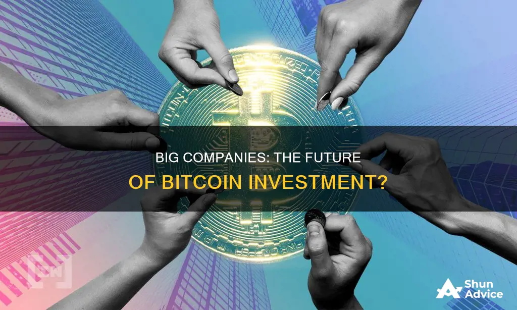 are big companies investing in bitcoin