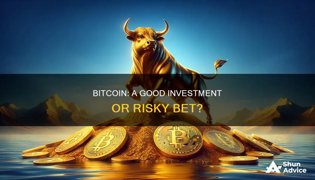 are bitcoin a good investment