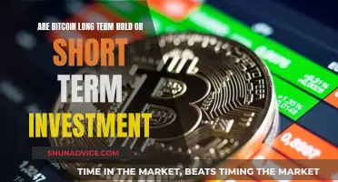 Bitcoin: Long-Term Hold or Short-Term Investment Gamble?