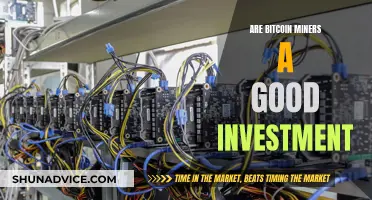 Bitcoin Miners: Worth the Investment?