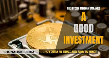 Bitcoin Miners: A Smart Investment Strategy?