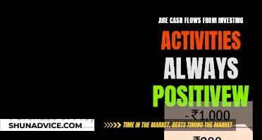 Investing Activities: Do Cash Flows Stay Positive?