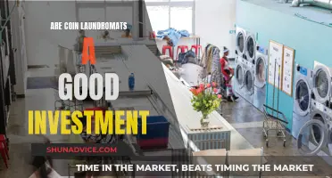 Coin Laundromats: Worth the Investment?