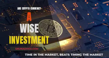 Cryptocurrency Investment: Wise or Risky?