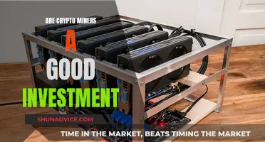 Crypto Miners: Worth the Investment?