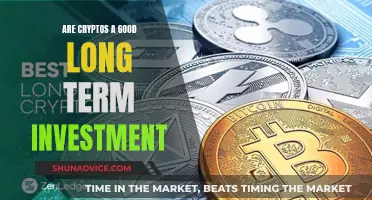 Cryptocurrencies: A Long-Term Investment Strategy?