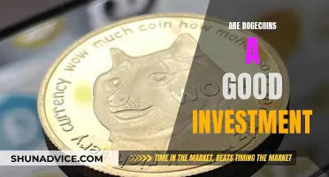 Dogecoin Investment: Is It a Good Bet?