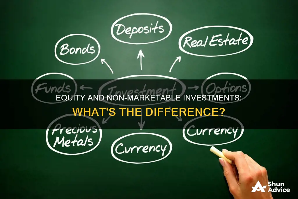 are equity and other investments the same as nonmarketable investments