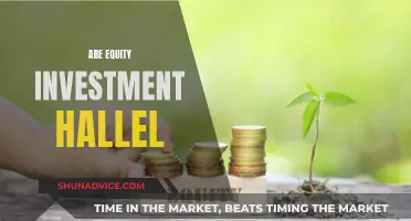 Equity Investments: Halal or Haram?