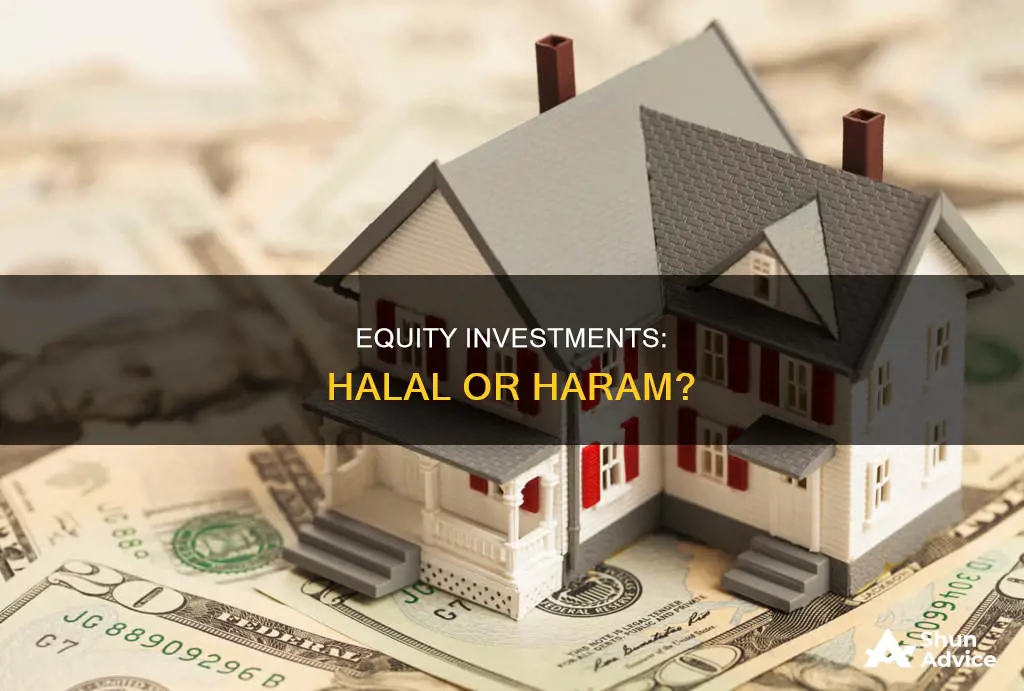 are equity investment hallel