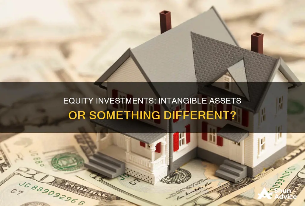 are equity investments intangible assets