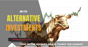 ETFs: Alternative Investments or Mainstream Moneymakers?