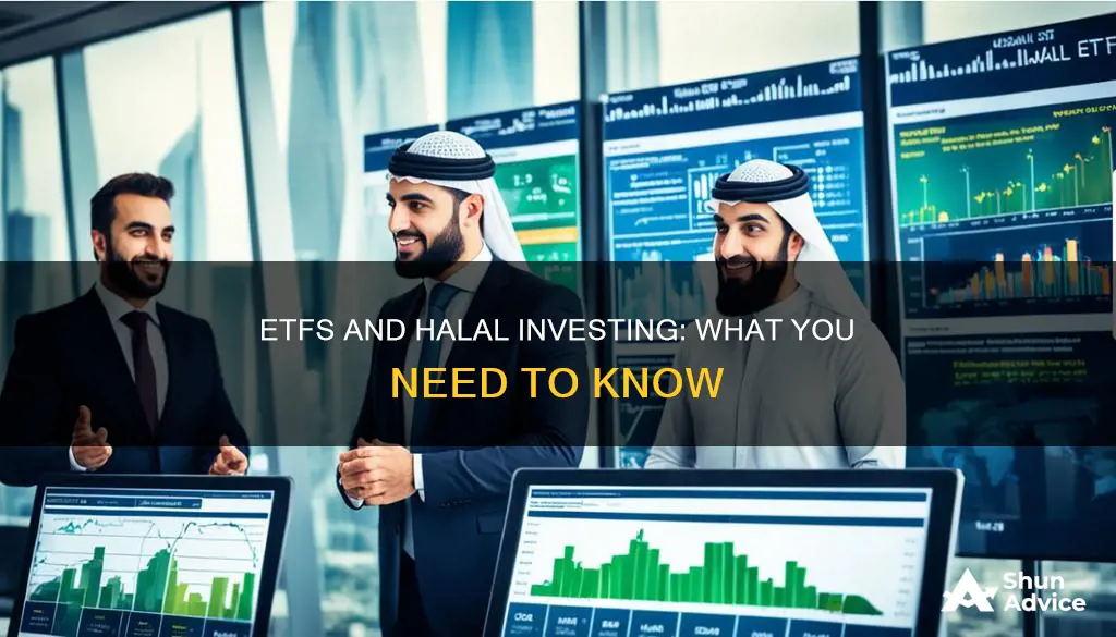 are etfs okay for halal investing