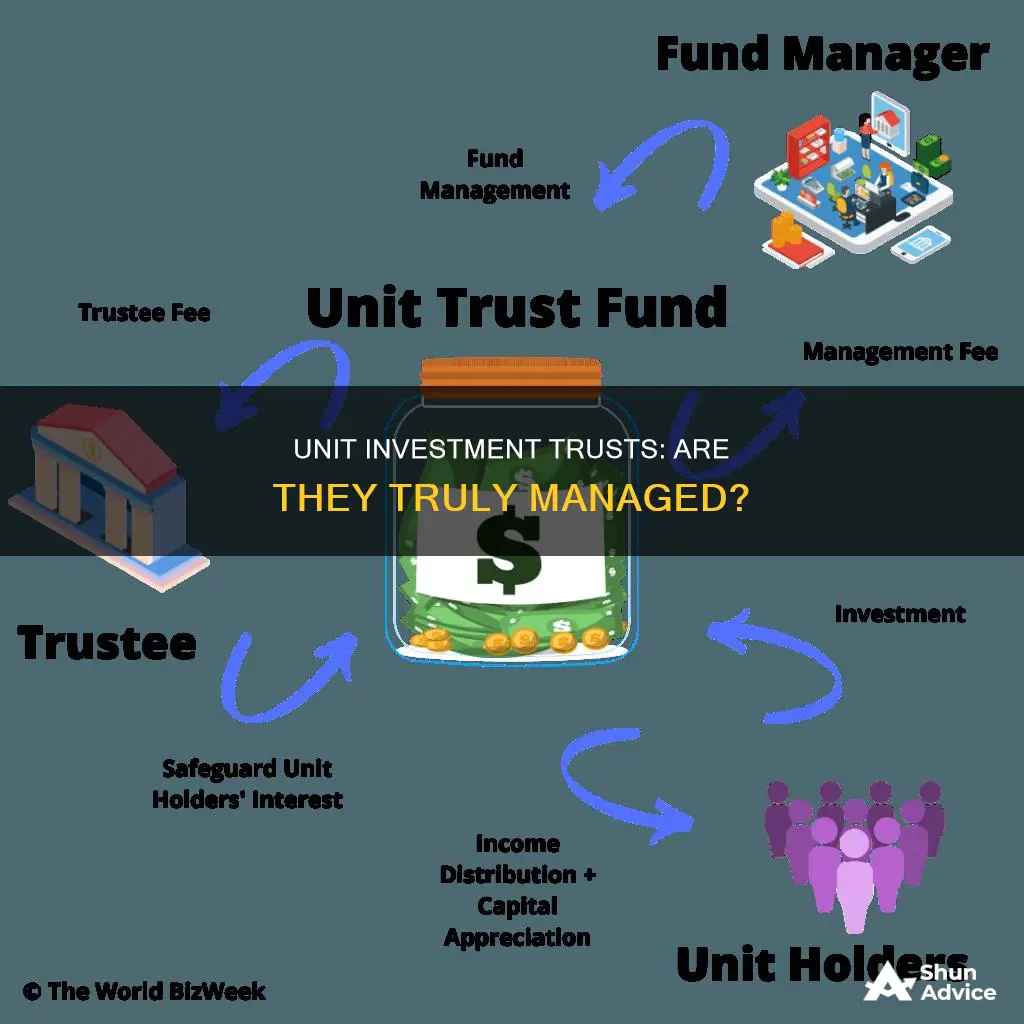 are fixed unit investment trusts managed