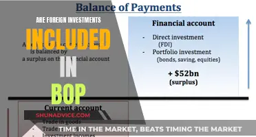 Foreign Investments: A Key Component of Balance of Payments