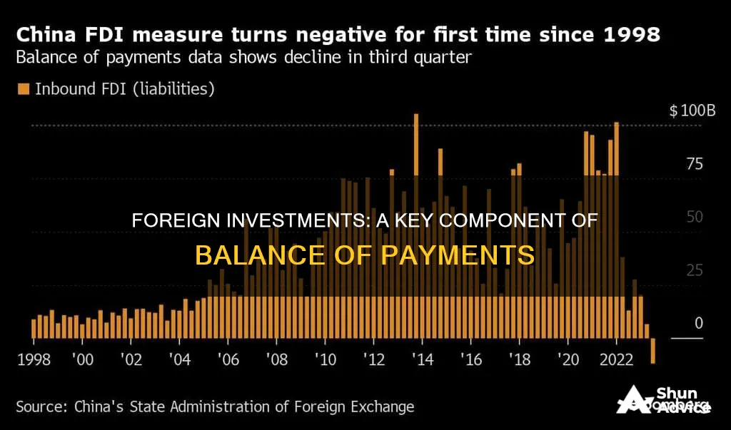 are foreign investments included in bop