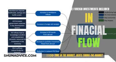 Foreign Investments: Counting Financial Flows and Their Impact