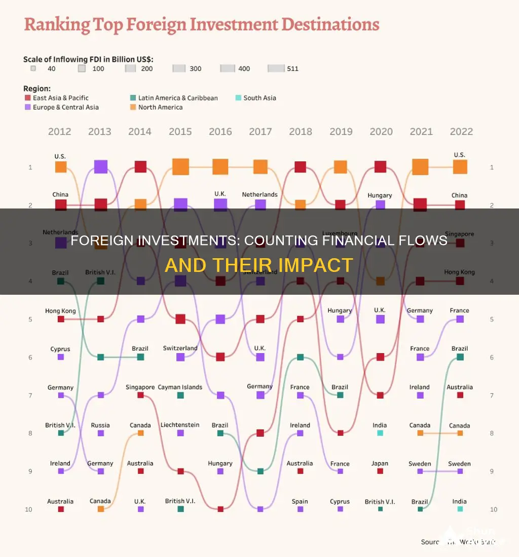 are foreign investments included in finacial flow