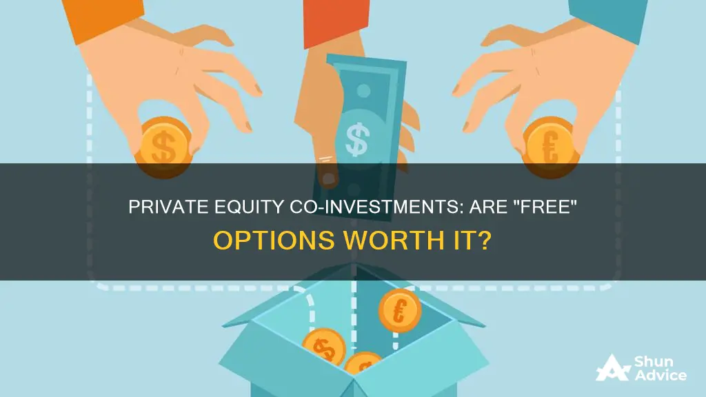 are free private equity co investments really free