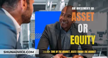 Investments: Assets or Equity? Understanding the Basics of Finance