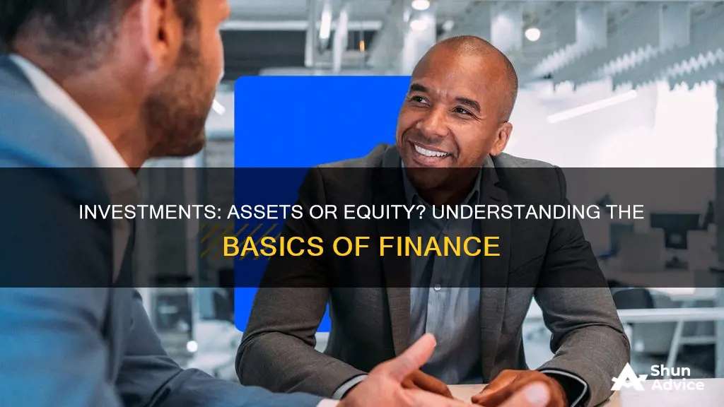 are investments an asset or equity