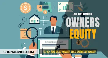 Understanding Investments and Owners Equity: What's the Difference?