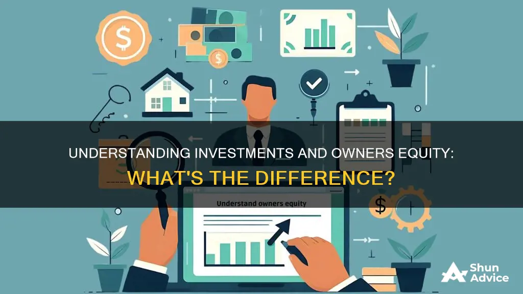 are investments owners equity