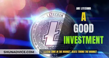 Litecoin Investment: Good or Bad Idea?