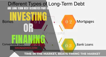 Debt Securities: Unlocking the Investment-Finance Connection