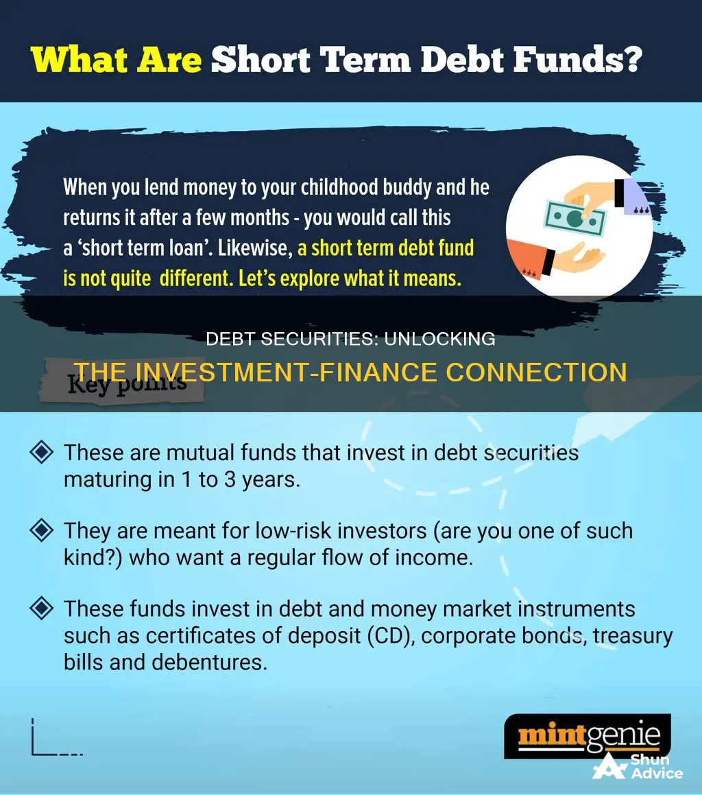 are long term debt securities part of investing or finaning