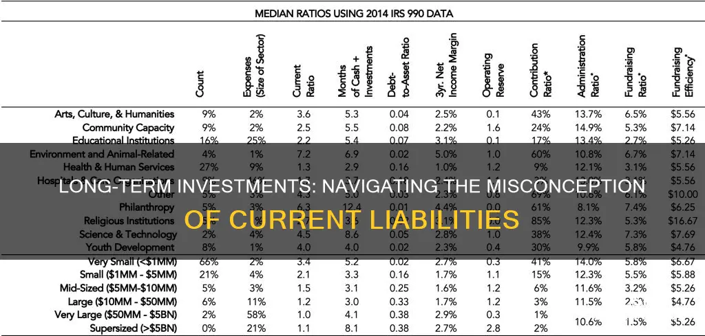 are long term investment current liabilities