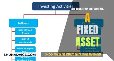 Understanding Long-Term Investments: Are They Fixed Assets?