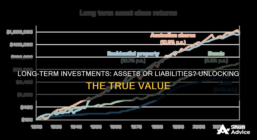 are long term investments assets or liabilities