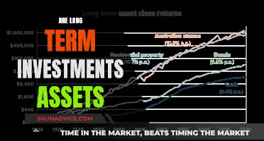 Unlocking the Power of Long-Term Investments: Are They Assets?