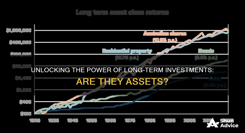 are long term investments assets