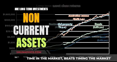 Unraveling the Mystery: Are Long-Term Investments Non-Current Assets?