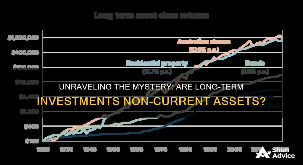 are long term investments non current assets