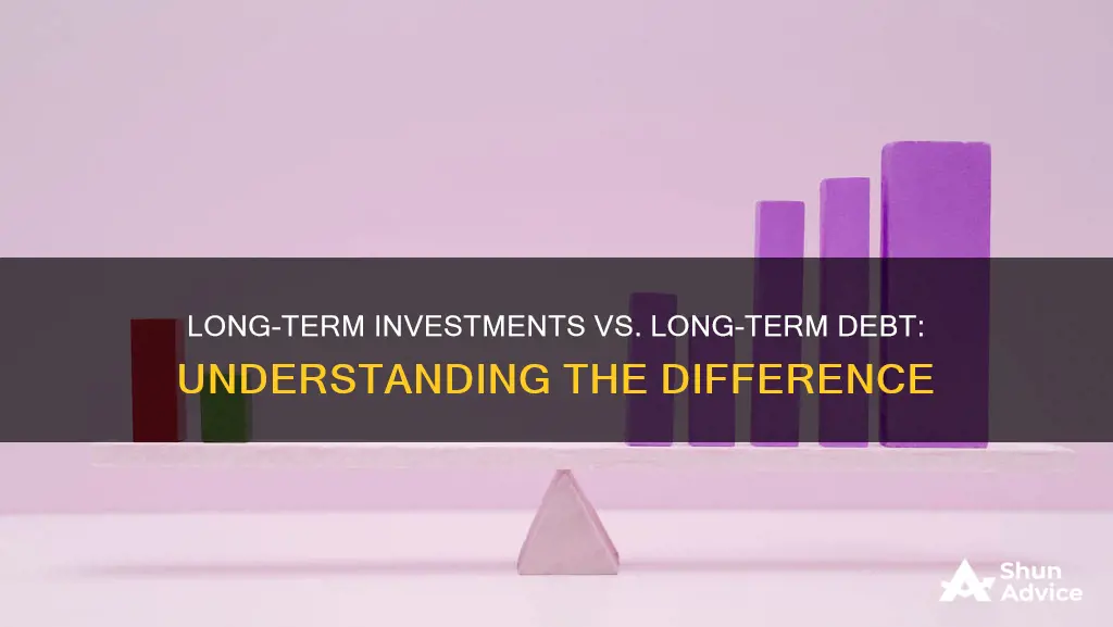 are long term investments the same as long term debt