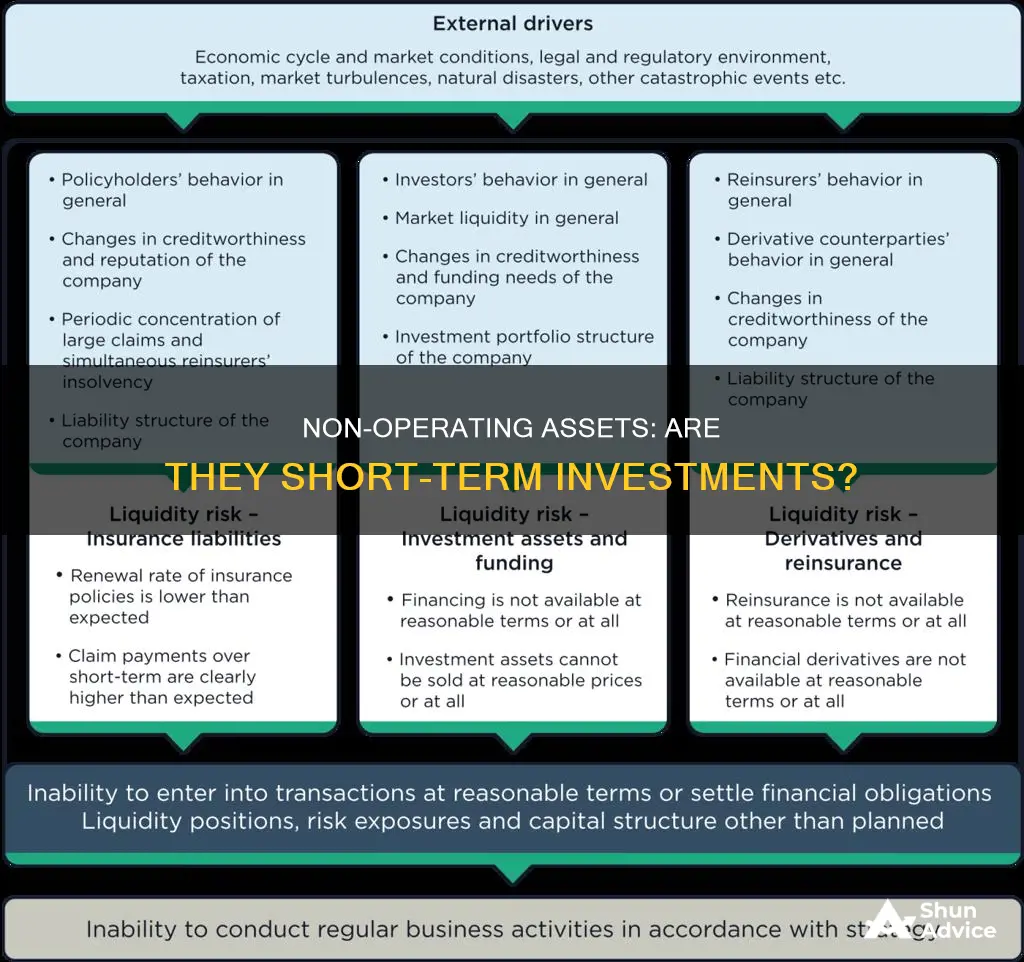 are non operating assets considered short term investments