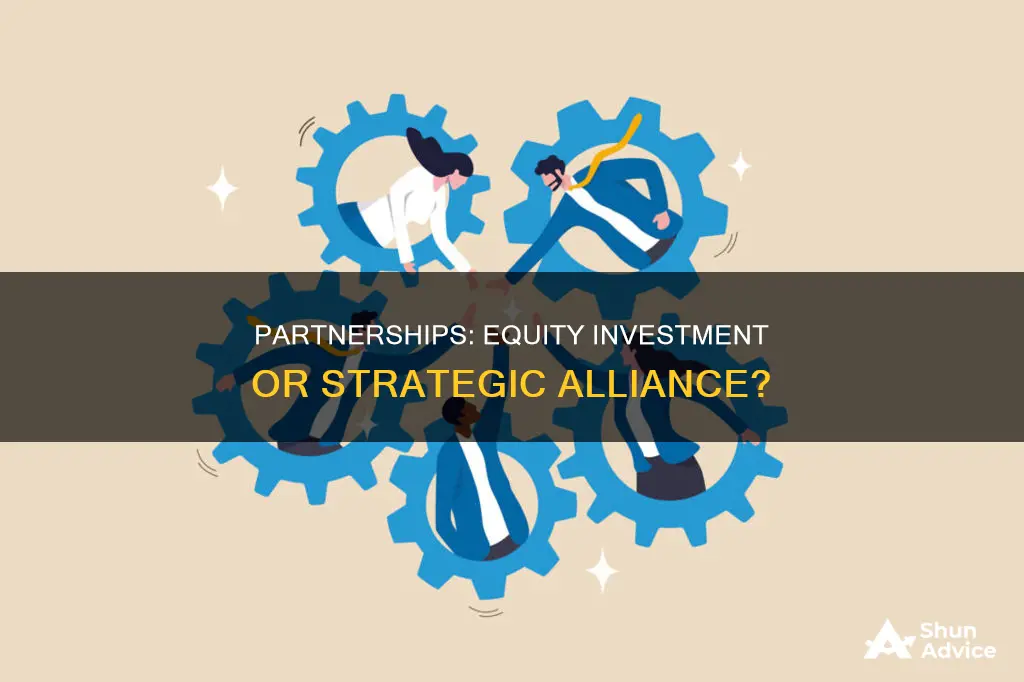 are partnerships an equity investment