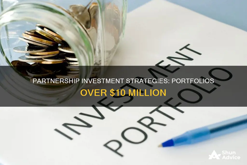 are partnerships of investment with portfolios that are larger than