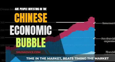 China's Bubble: Global Investment Risk