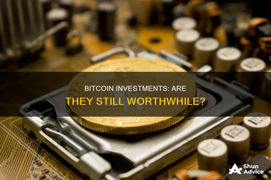 are people still investing in bitcoin