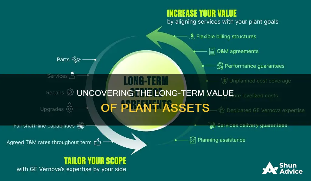 are plant assets long term investments